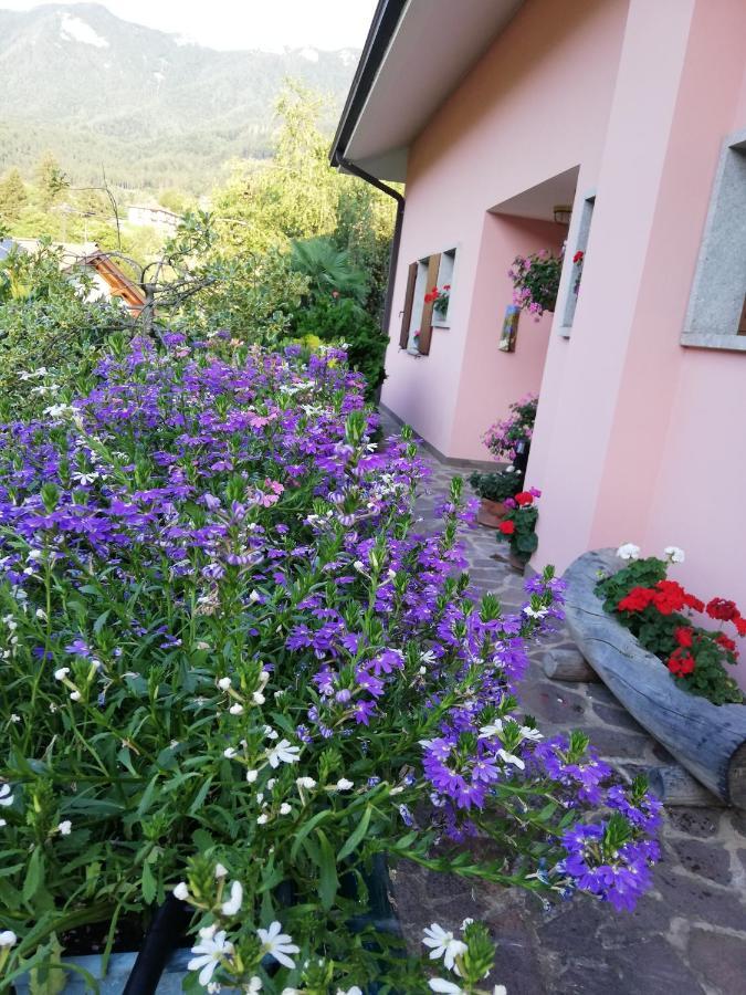 El Campizol Apartman Drena Kültér fotó