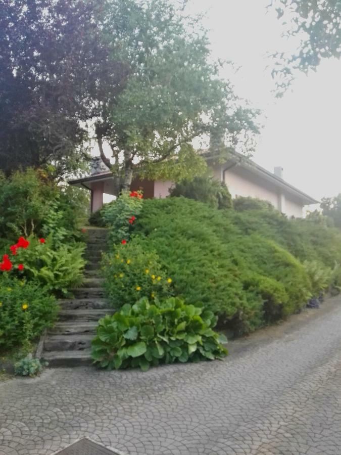 El Campizol Apartman Drena Kültér fotó