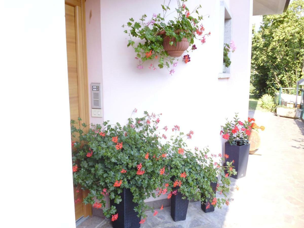 El Campizol Apartman Drena Kültér fotó