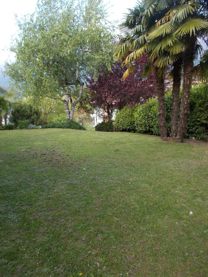 El Campizol Apartman Drena Kültér fotó